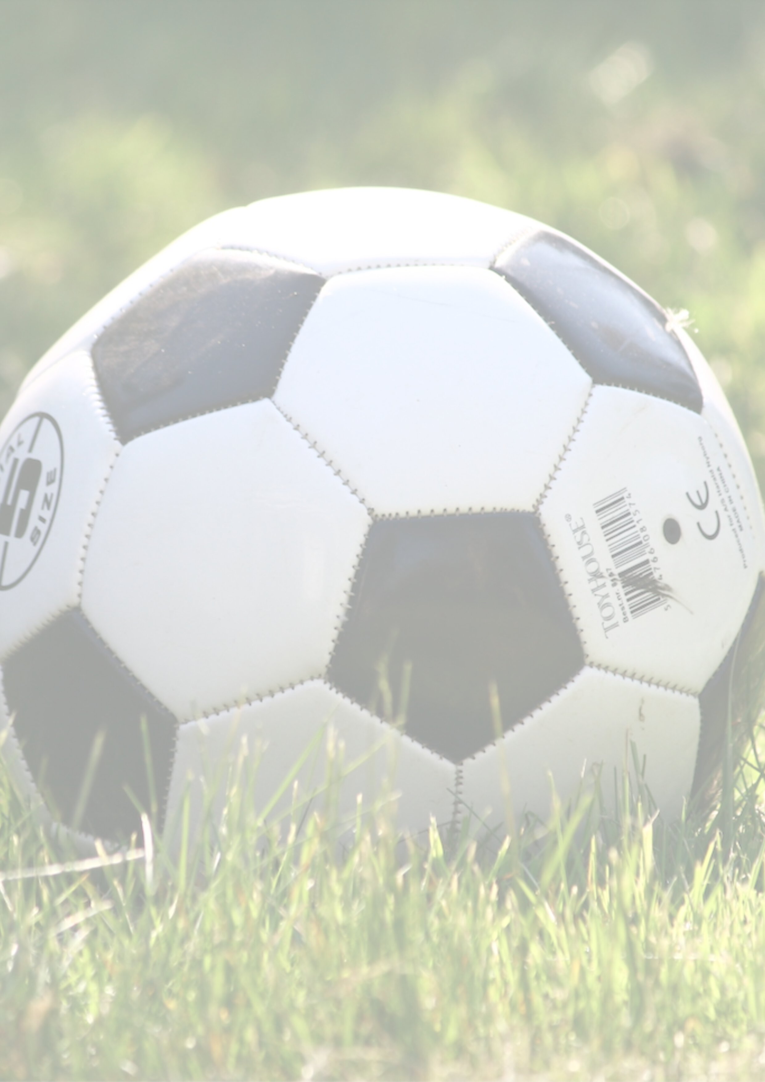 Fussball 2